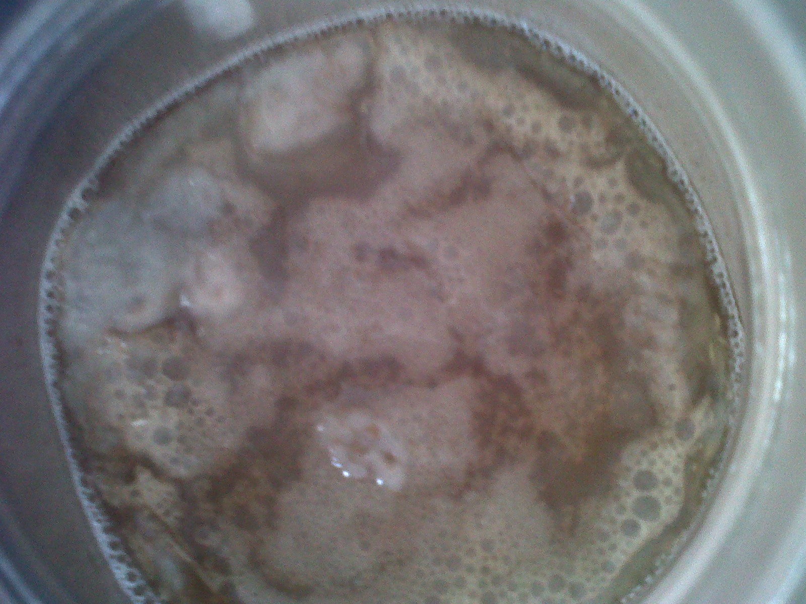 kombucha with mold image